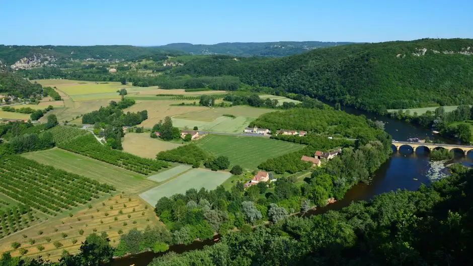 L'Art Durable et Écologique : Guide Complet des Pratiques Vertes en 2026